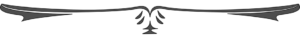 24798-1-horizontal-line-file1